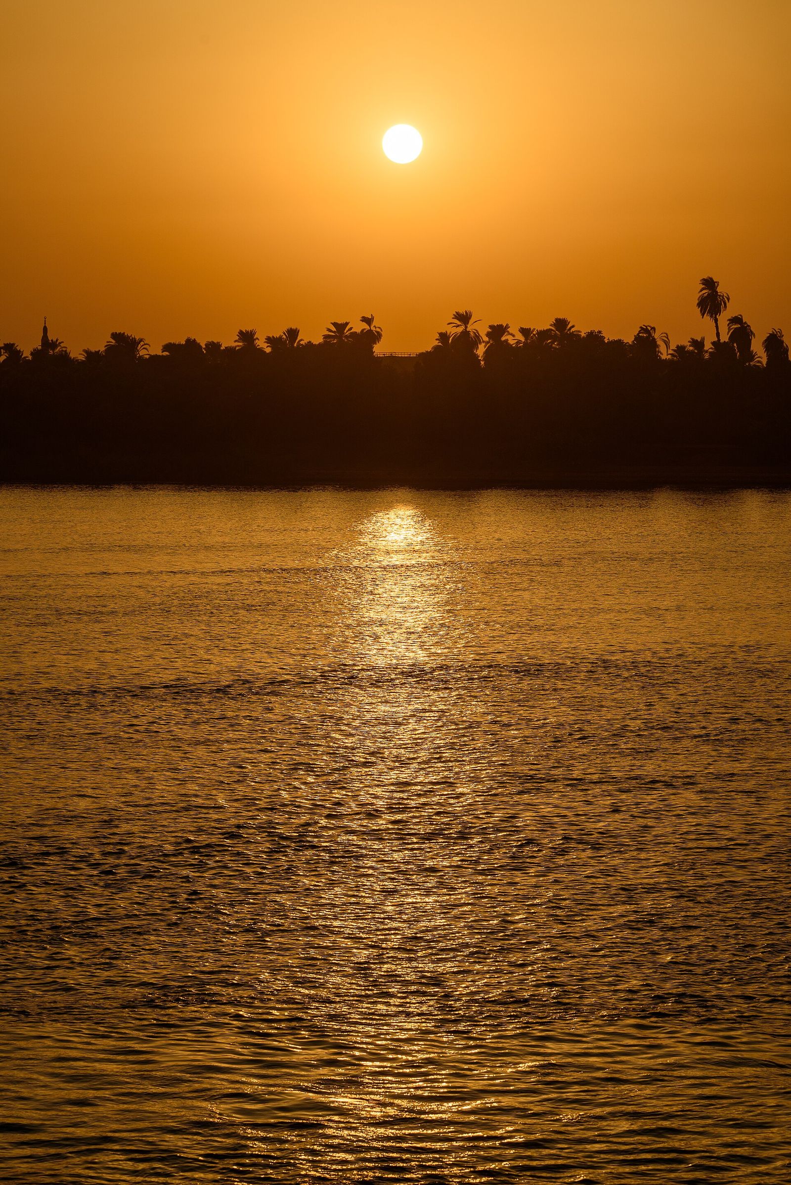 The sun setting behind palm trees across the Nile